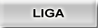 Liga 2010